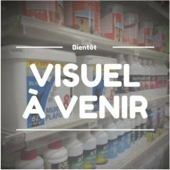 ATLANTIC Sonde Ext Qac 31/109