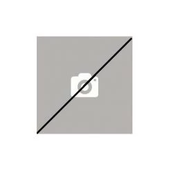 ATLANTIC Aquastat Limiteur 40424 100510