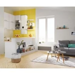 ATLANTIC Chauffeeau électrique Linéo Connecté Vertical Mural Blanc 150L